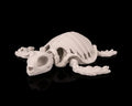 3D Printed Deep Sea Flexible Skeleton Turtle image 0