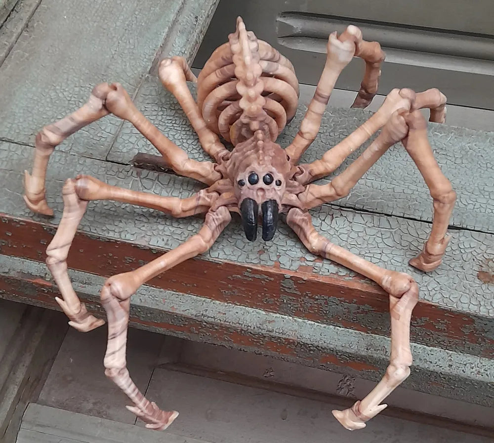 3D Printed Halloween Articulated Flexi Skeleton Spider - Choice Of Colours image 0