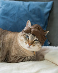 3D Printed Glam Wave - Cat Costume Helmet