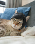 3D Printed Emo Bangs - Cat Costume Helmet