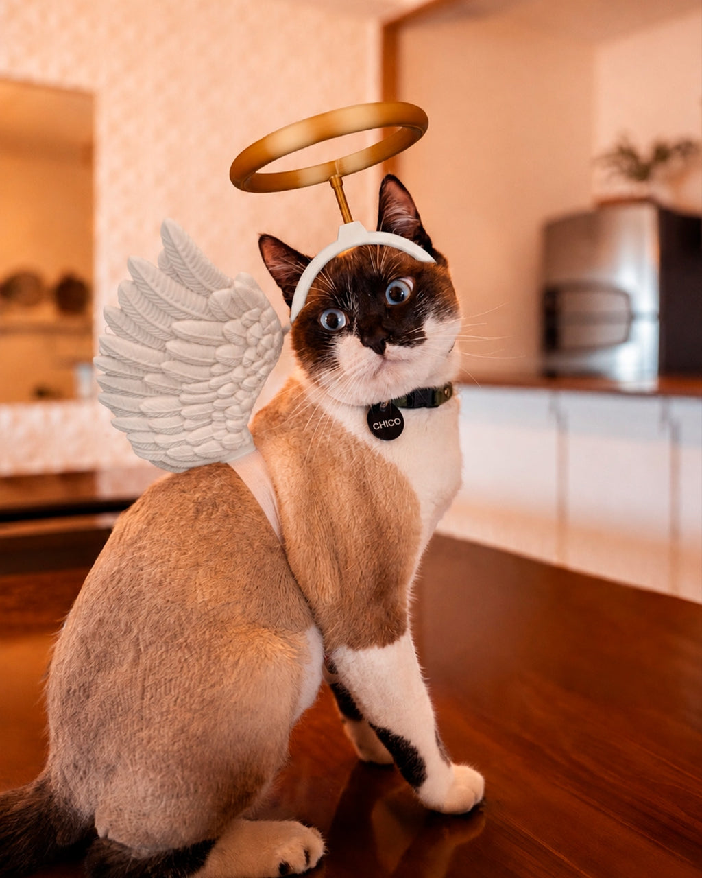 3D Printed Little Saint - Cat Costume Helmet