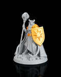 3D Printed Miniature War Warrior Model - Ironvow Paladin image 0