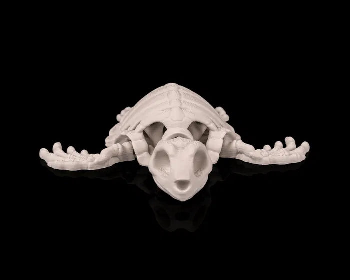 3D Printed Deep Sea Flexible Skeleton Turtle image 3