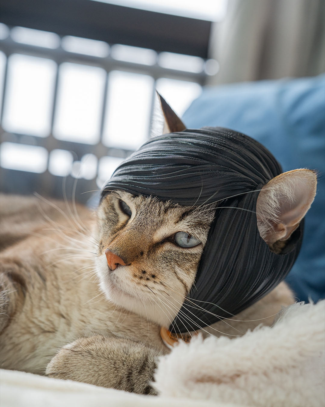3D Printed Emo Bangs - Cat Costume Helmet