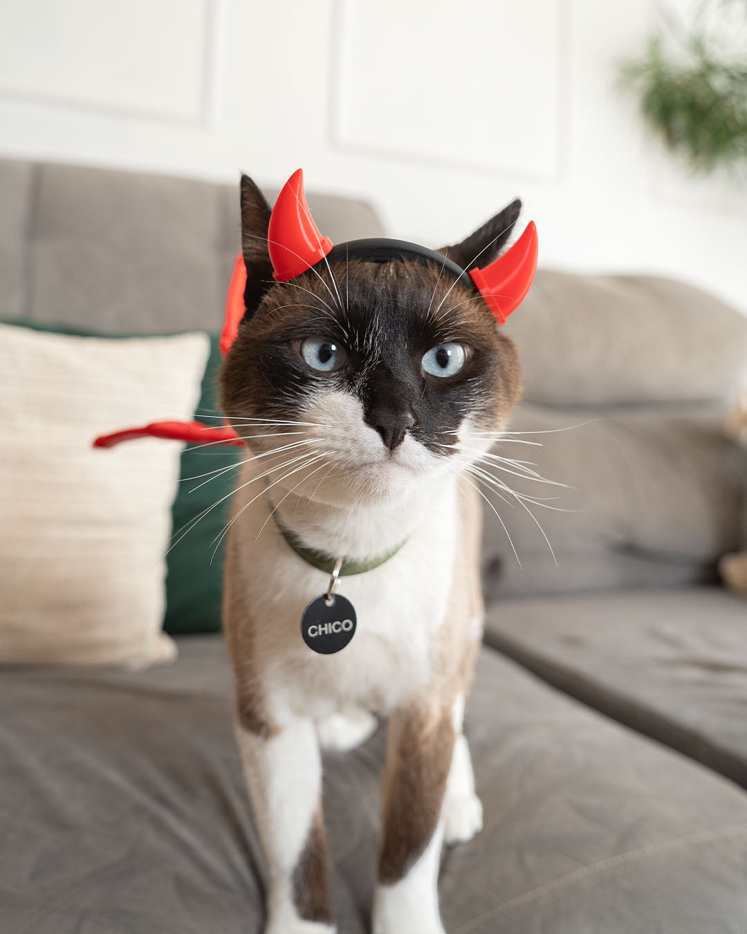 3D Printed Little Devil - Cat Costume Helmet