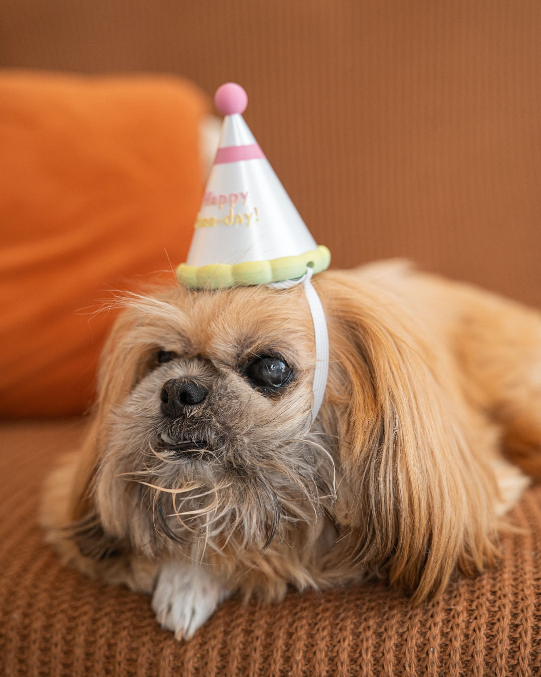 3D Printed Party Hat - Pet Cat - Dog Costume Helmet