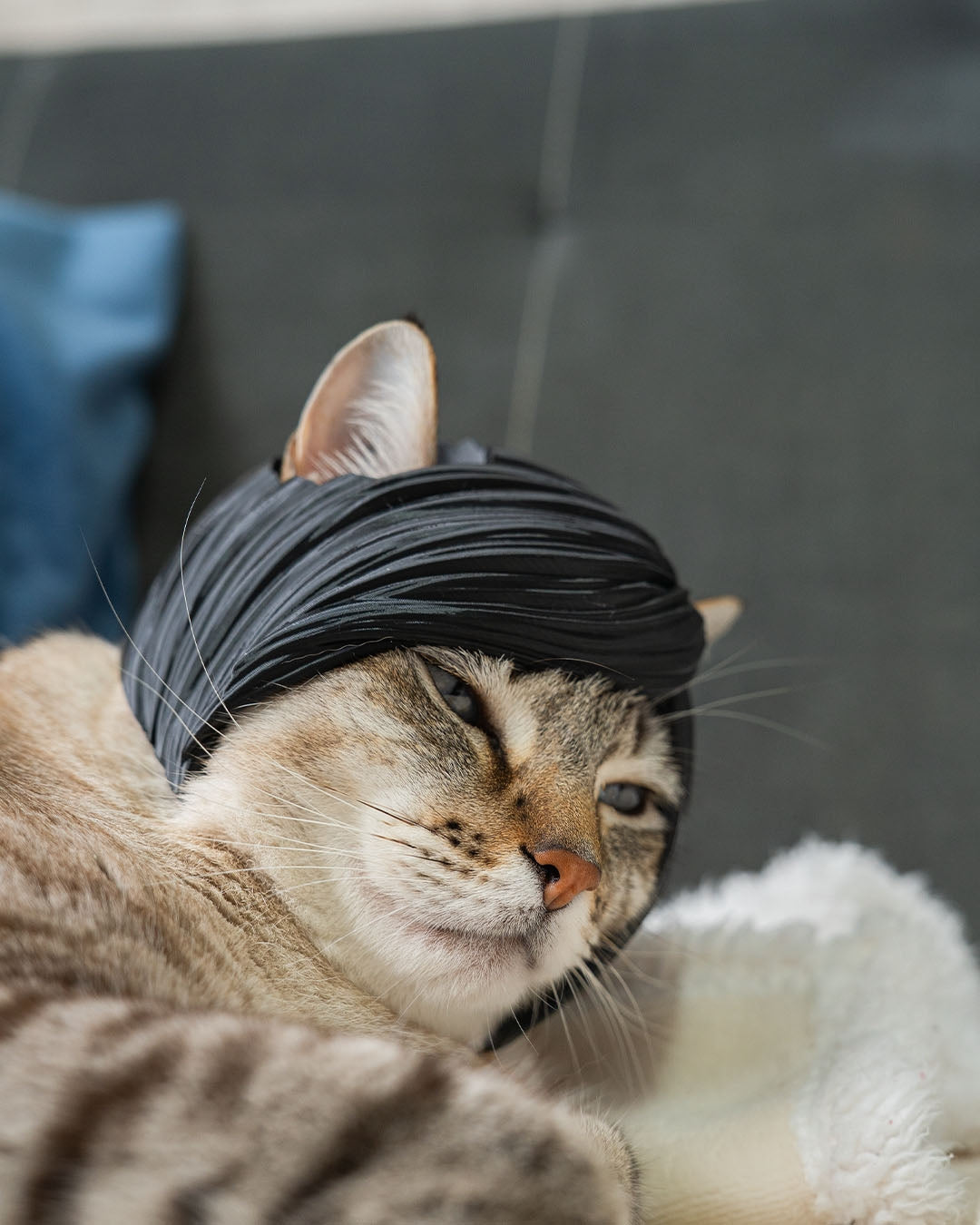 3D Printed Emo Bangs - Cat Costume Helmet