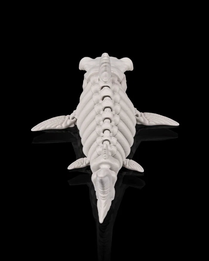 3D Printed Deep Sea Flexible Skeleton Shark image 2