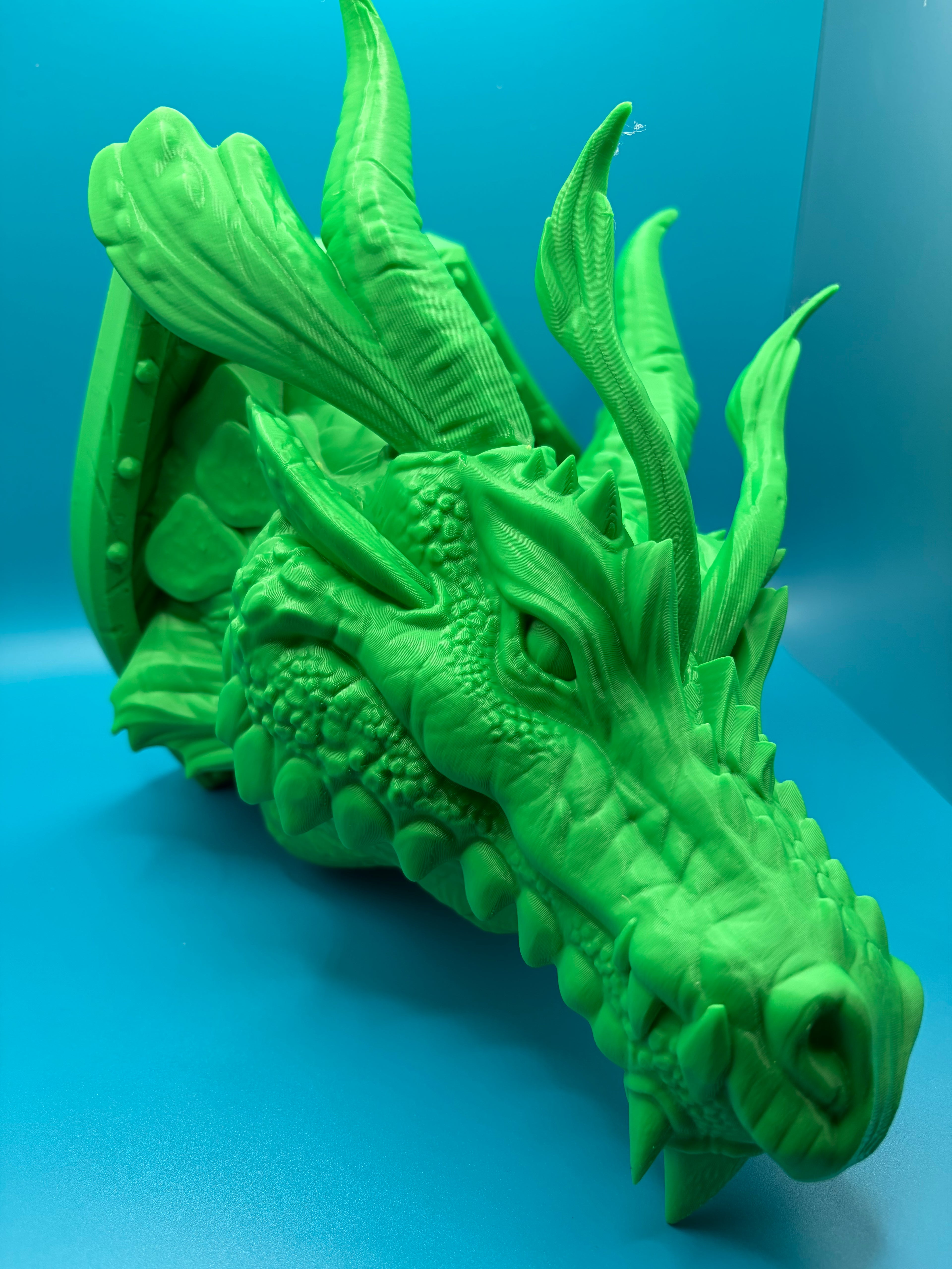 3D Printed Wall Mounted Dragon image 0