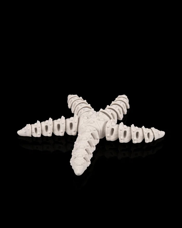 3D Printed Deep Sea Flexible Skeleton Starfish image 0