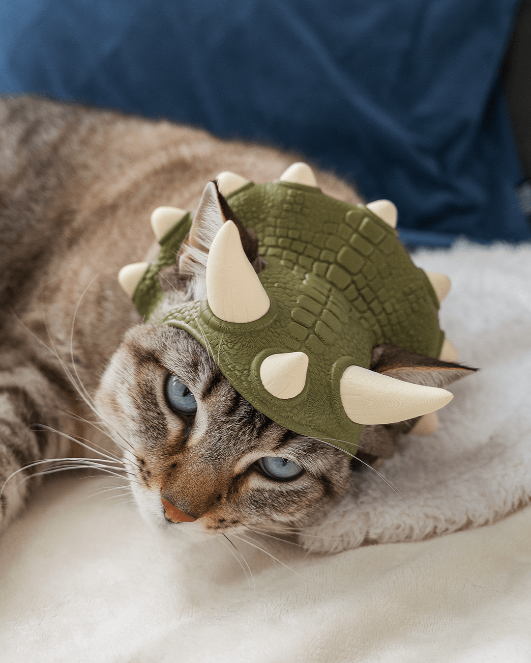 3D Printed Dino Crown - Cat Costume Helmet