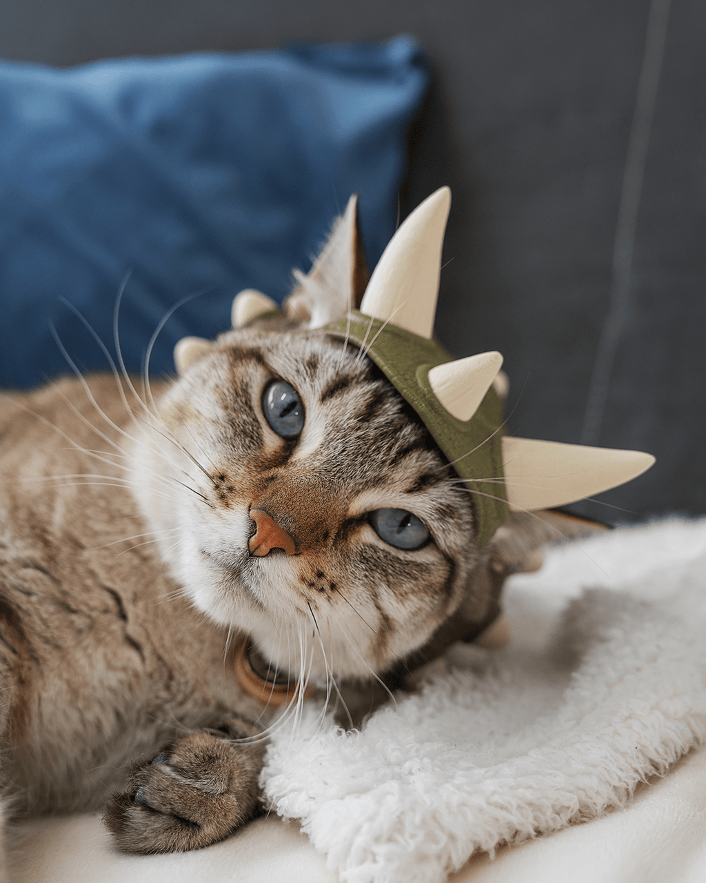 3D Printed Dino Crown - Cat Costume Helmet