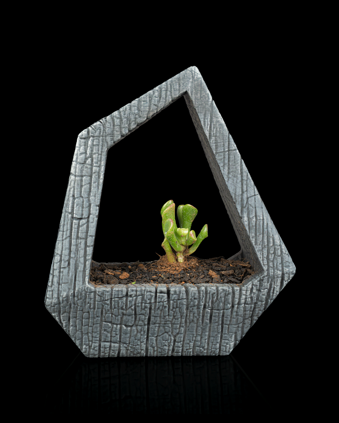 3D Printed Obsidian Frame - Self-Watering Planter