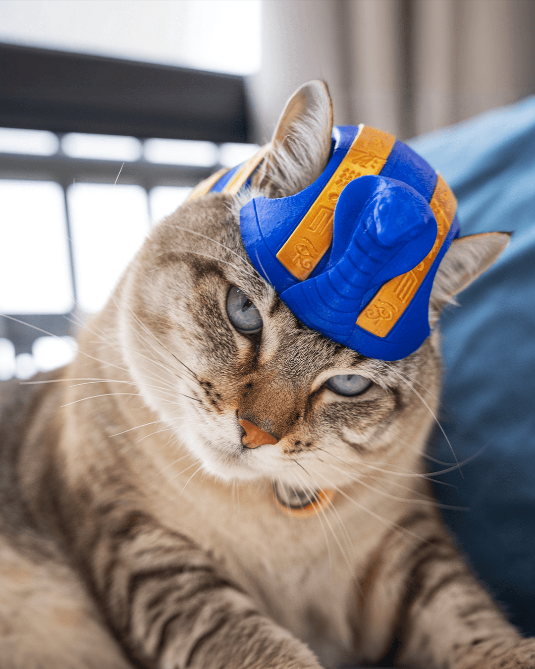 3D Printed Pharaoh Cat - Cat Costume Helmet