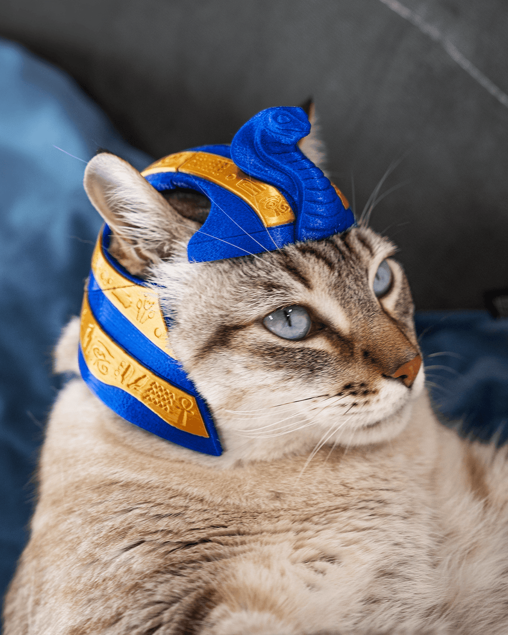 3D Printed Pharaoh Cat - Cat Costume Helmet