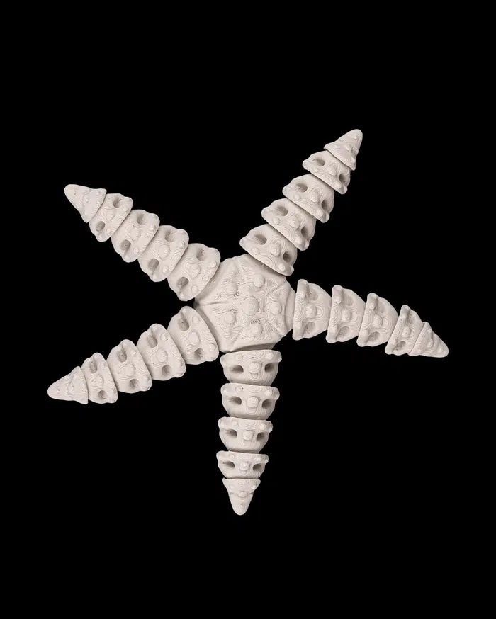 3D Printed Deep Sea Flexible Skeleton Starfish image 3