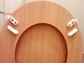 Disabled Toilet Seat Stabilisers x2 image 0