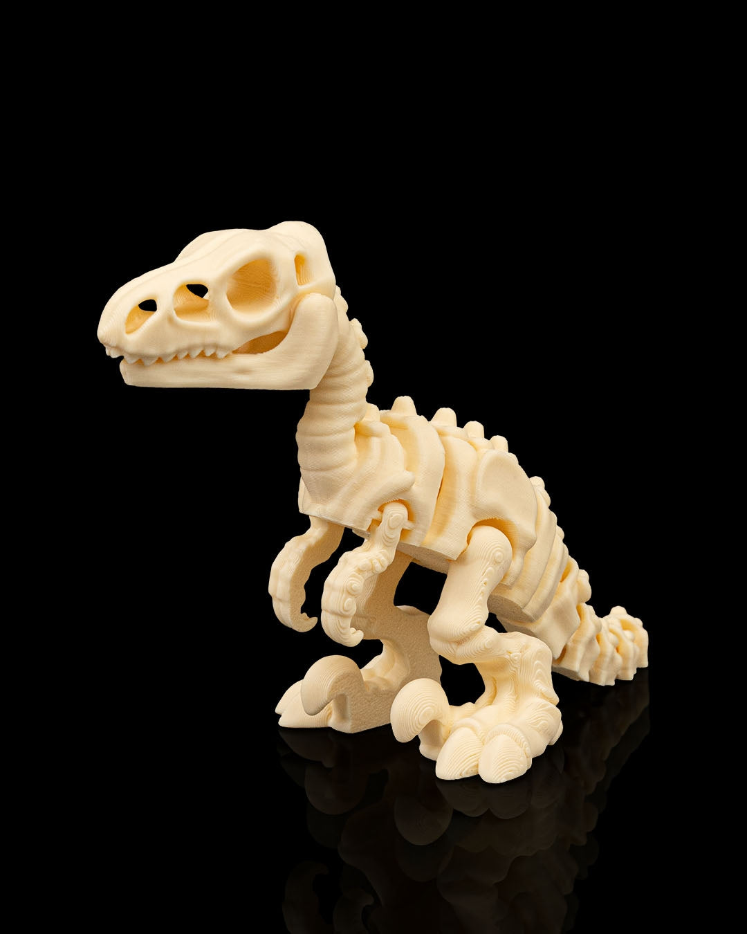 3D Printed Fexible Dinosaur - Skeleton Velociraptor Fidget Toy image 0