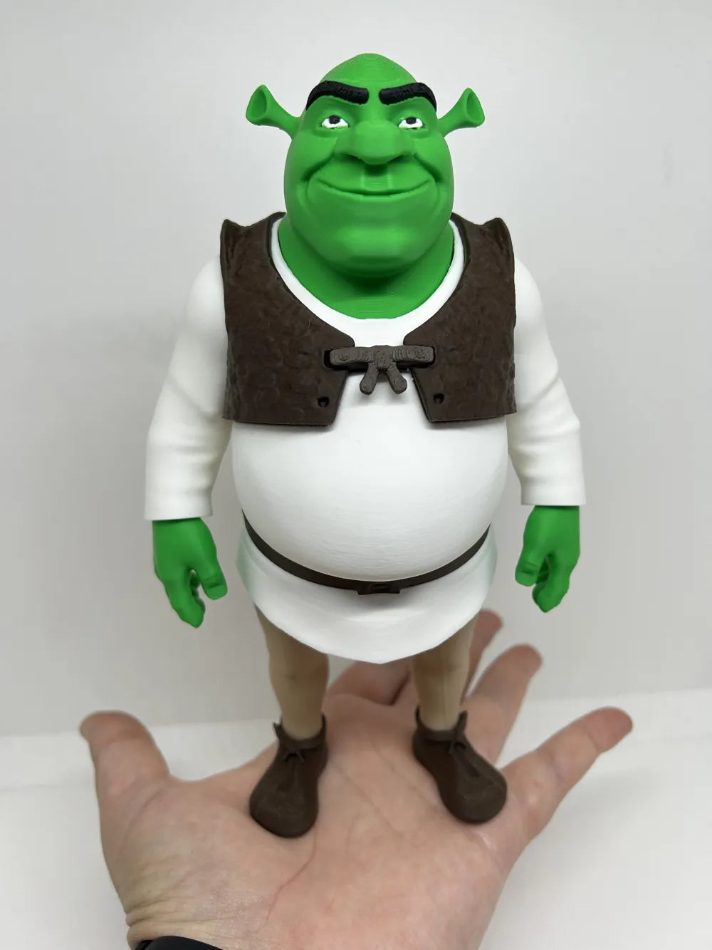 3D Printed Toy Action Figure Model - Shrek image 0