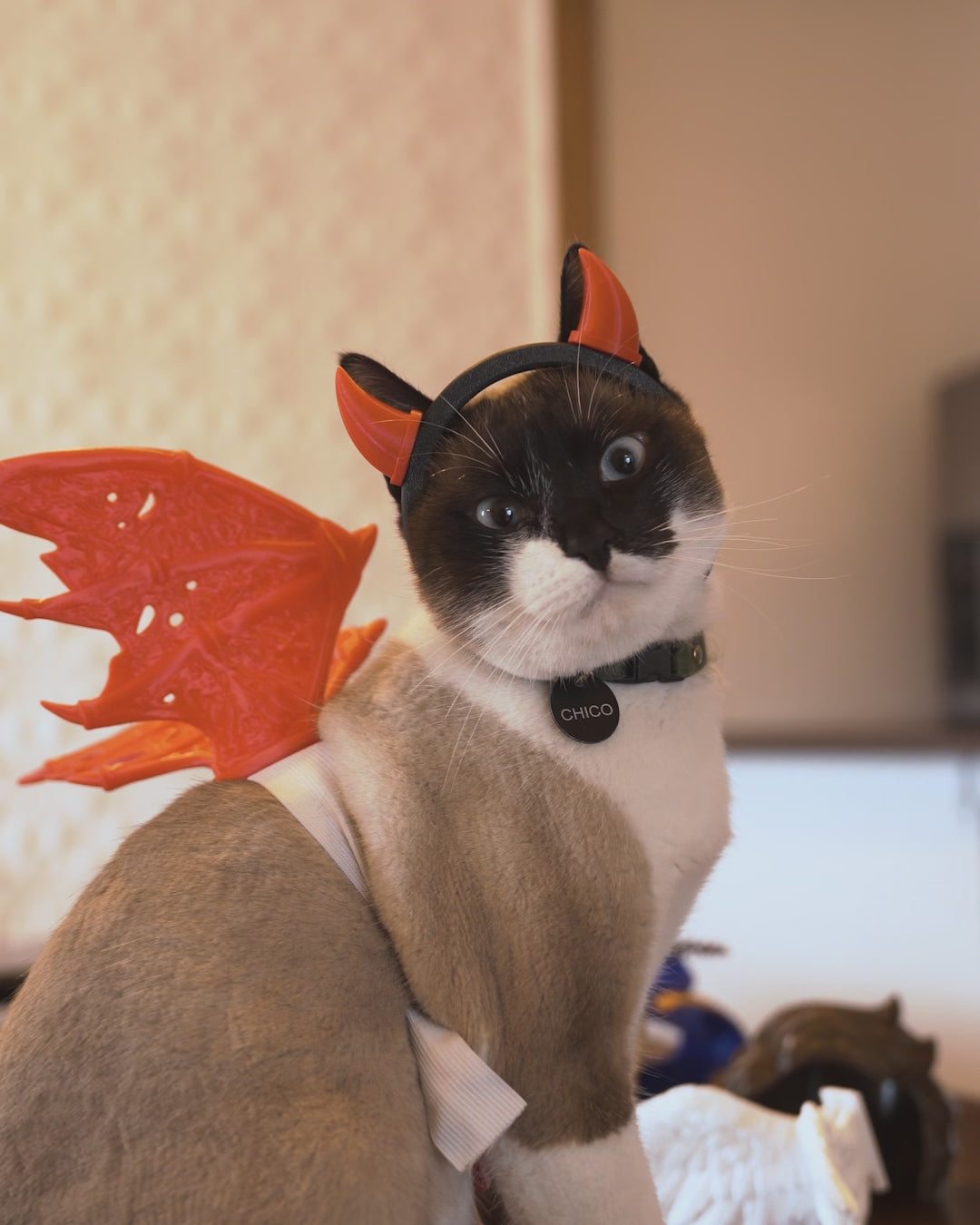 3D Printed Little Devil - Cat Costume Helmet