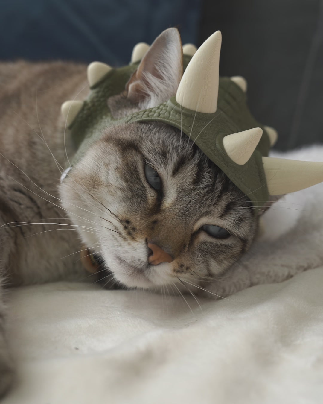 3D Printed Dino Crown - Cat Costume Helmet