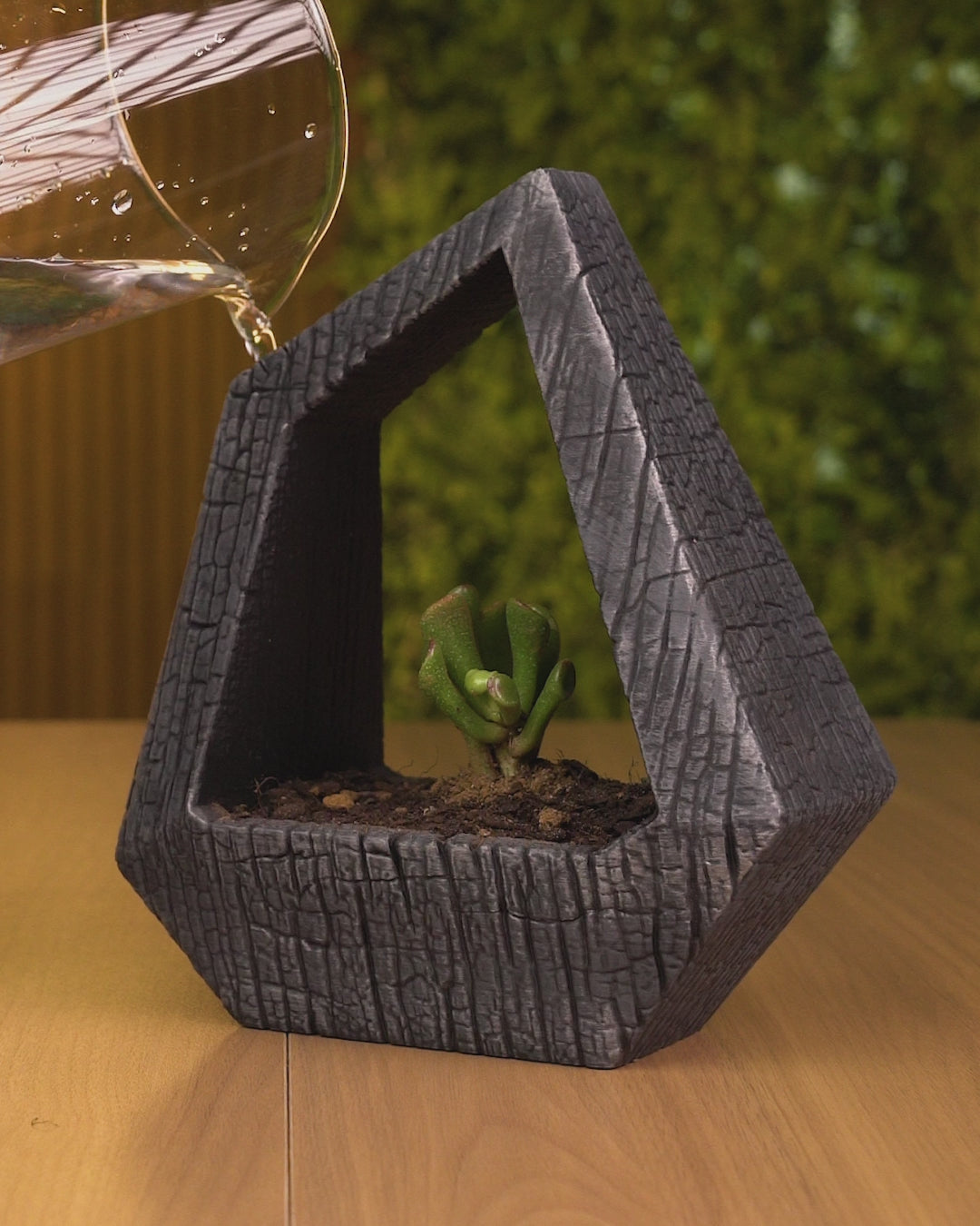 3D Printed Obsidian Frame - Self-Watering Planter